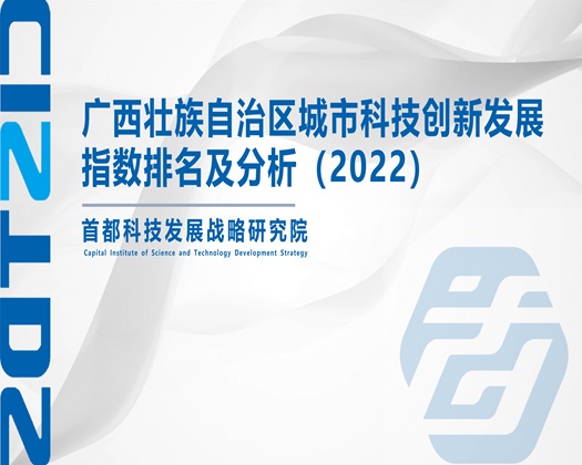 大鸡巴捅逼视频【成果发布】广西壮族自治区城市科技创新发展指数排名及分析（2022）